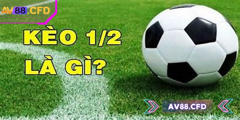 Kèo 1/2 AV88 là sự lựa chọn không tồi cho các tân binh