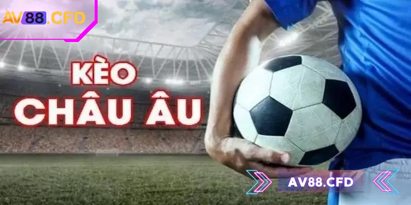 Cộng đồng cược thủ luôn luôn sẵn lòng giúp đỡ tân binh