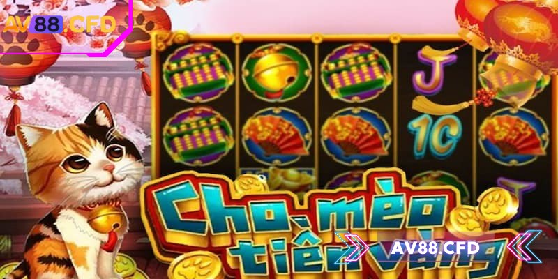 Đôi nét về mèo chiêu tài AV88